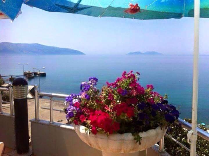 Vlora Apartments Luaran gambar